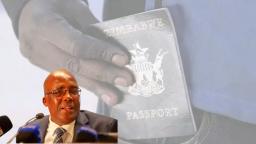 Court Dismisses Application Seeking To Protect Zimbabwean Exemption Permit Holders' Rights