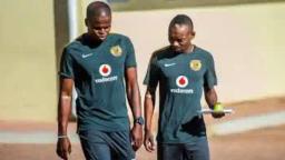 "Criticism Usually Comes To Big Players" - Katsande In Solidarity With Billiat