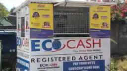 EcoCash Accuses RBZ Of Moving Too Slowly In Dealing With Suspicious Agents