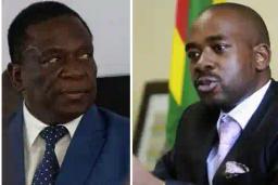 ED, Chamisa Must  “Seize The Moment” And Engage In Dialogue - Masunungure