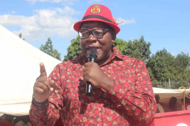 ED & Zanu PF Have Taken Us To Depths That Are Unheard Of - Biti Addresses Tanzania's Main Opposition Party