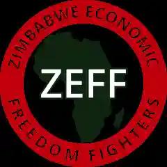 EFF Zimbabwe Confirms Their Party Official Voted In The MDC T Congress
