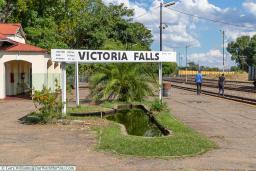 Elephants 'Impose' Early Curfew In Victoria Falls