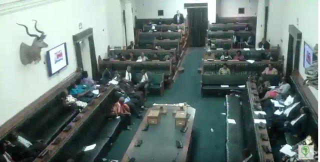 Eleven Kambizi To Replace Shiri In Senate