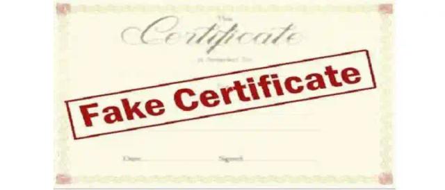 Fake Degrees For Sale In Zimbabwe