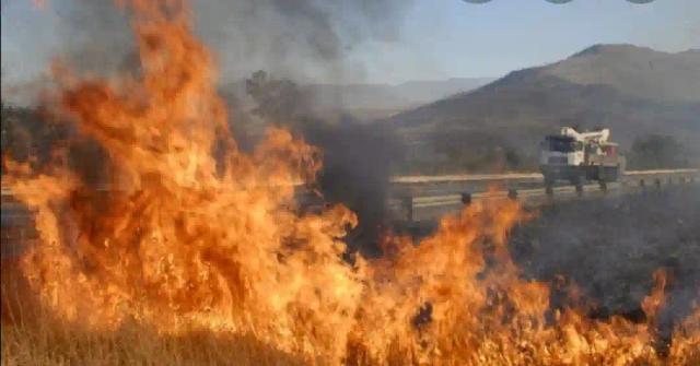 Farmer Jailed 18 Months For Starting Veld Fire