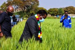Farmers Told To Account For All Presidential Inputs