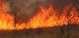 Fire destroys parts of Matopos National Park in Bulawayo
