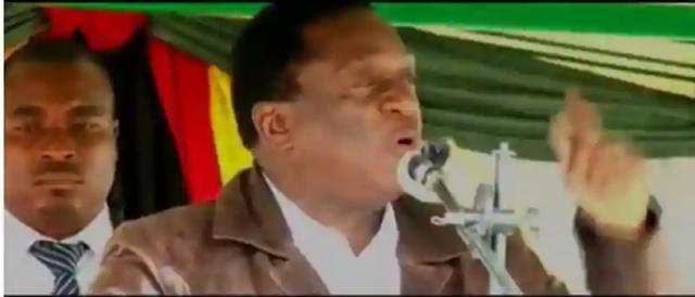 Form Own Party: Chimedza Dares Mnangagwa's Suspended Allies