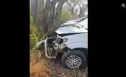 Freeman's Toyota Fortuner Crashes Into A Tree