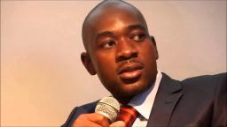 FULL TEXT: "Politics will guide the gun" - Nelson Chamisa In Defence Forces Statement