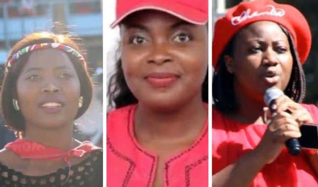 FULL TEXT: The Police Were Still Looking For Them When They Disappeared - Govt Speaks On MDC Activists Abduction