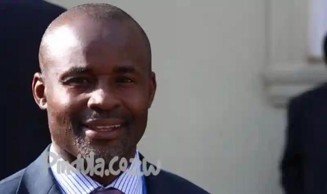 FULL THREAD: Mliswa Accuses Kembo Mohadi Of Being Godfather Of Smuggling