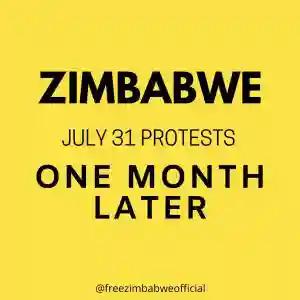 FULL THREAD: Zimbabwe 31 July Protests 1 Month Later