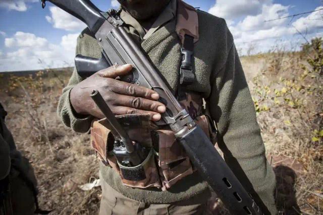 Game Rangers Arrested For Killing A Poacher