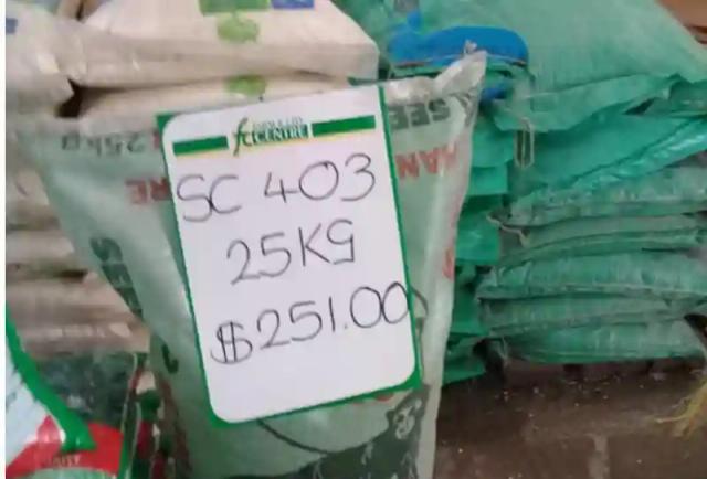 Govt Denies Owing Seed Companies US$62 Million