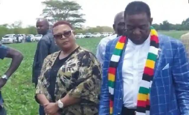 Govt Hired An American Lobbying Company To Lobby That Khupe Is The Legitimate Opposition Leader In Zimbabwe To The American Govt Last Year