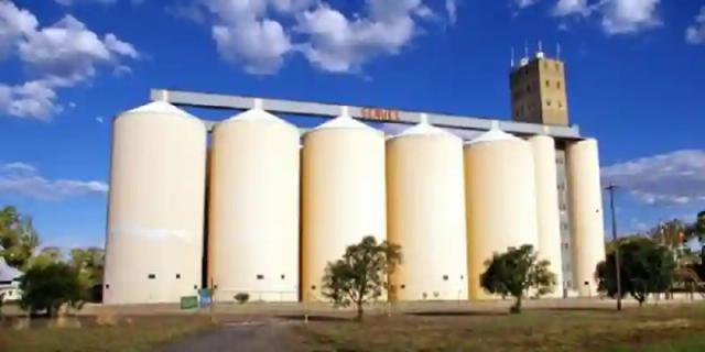 Govt Injects $70 Million Into Silo Foods For Cheaper Foodstuffs