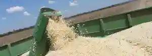 Govt To Temporarily Stop Grain Distribution