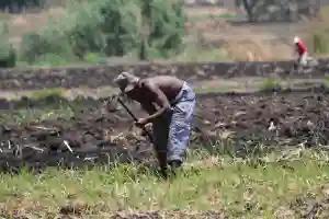 Harare Council Offers Residents Farming Permits