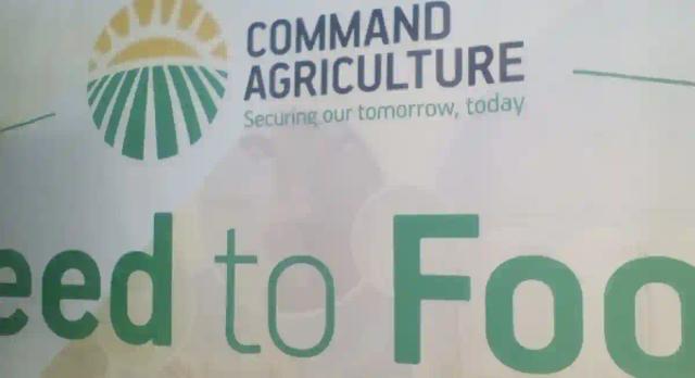 "Heads Must Roll Forthwith Over Missing US$3 Billion For Command Agriculture"