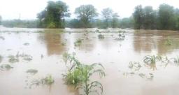 Heavy Rains Destroy 30+ Homes In Binga