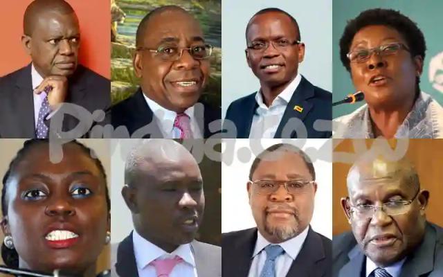 How Zimbabweans Are Reacting To Mnangagwa's New Advisory Council