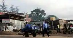Hunger Forces Pushcart Operators To Return To Bulawayo CBD Despite The Lockdown