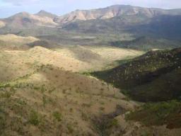 Hunter Stumbles On Five Bodies In Mavuradonha Mountains