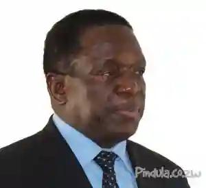 I Agree With Diaspora Vote, We Now Have 5 Years To Try To Implement It - Mnangagwa
