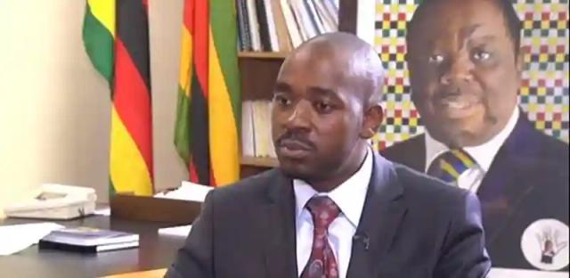 I Offered Mnangagwa Advice But He Refused To Meet Me Fearing A Power Grab: Nelson Chamisa