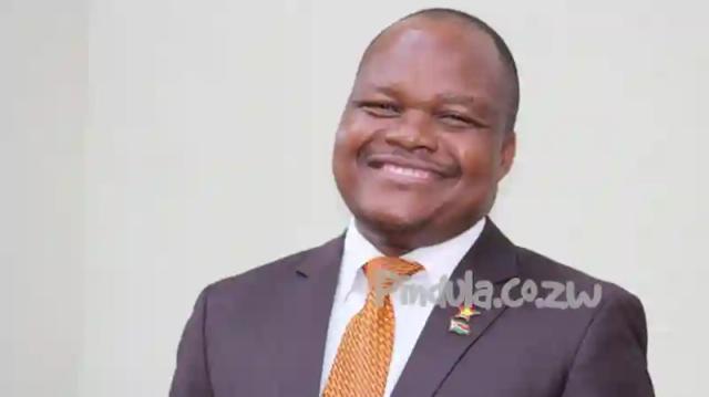 If Not Chamisa, Then Vote Mujuru But Not Mnangagwa: Former Minister