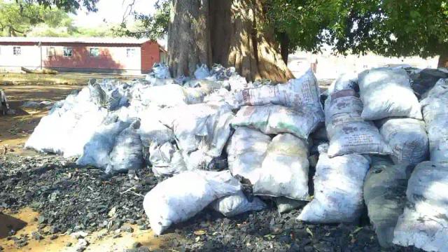 Illegal Charcoal Production Threatens Zimbabwe's Forests