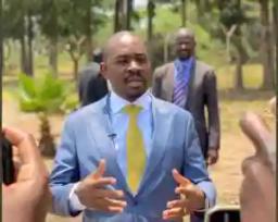 "In Our Country, Terrorism Is Actually Instigated By Government" - Chamisa