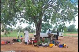 In Zimbabwe, Cholera Patients Are Treated Under Trees, Drips Hanging From Branches