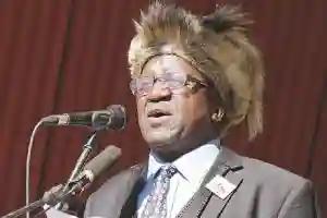 Joshua Nkomo's Son Speaks On Mnangagwa, Chiefs Gukurahundi Meeting