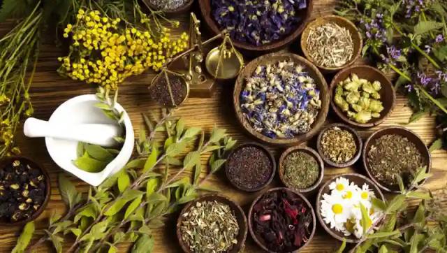 JUST IN: Govt Allows Herbalists To Treat COVID-19 Patients