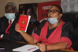 Khupe To Expel All MDC Alliance Senators And PR Legislators