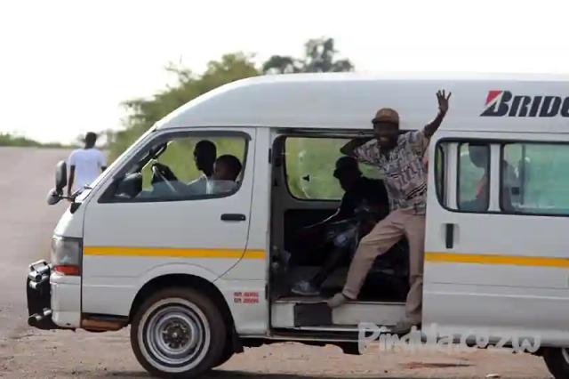 Kombi crew drops huge python at bus terminus before speeding off