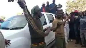 Kwekwe "Python Soldier" Disowns Both Snake And Car