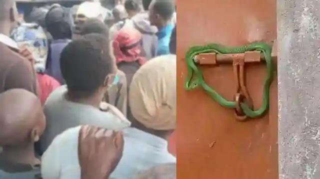 Landlord Locks Tenants' Gate With Live Snake Over Rent Arrears