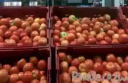 Latest Prices of Fruits & Vegetables At Mbare Musika