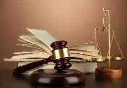 Law Society Of Zimbabwe Suspends Lawyer Doreen Vundhla-Phulu