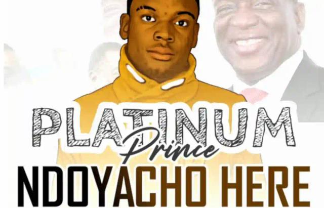 LISTEN: Ndoyacho Here Mr. President - Platinum Price