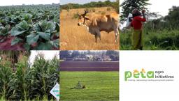 Local Agric Company Offers To Visit Farmers & Advise (Backyard Farmers Included)