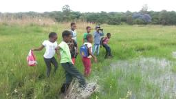 Local Authorities Urged To Preserve Wetlands