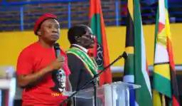Malema: I'm Considering Going To Zimbabwe To Get COVID-19 Vaccine