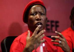 Malema Pledges Buses To Transport Zimbabweans Back Home For 23 August Elections