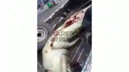 Man Eaten By Crocodile While Fishing At Night