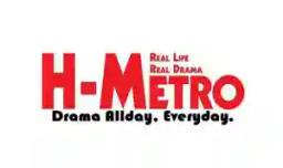 Man's Defamation Lawsuit Against H-Metro Fails